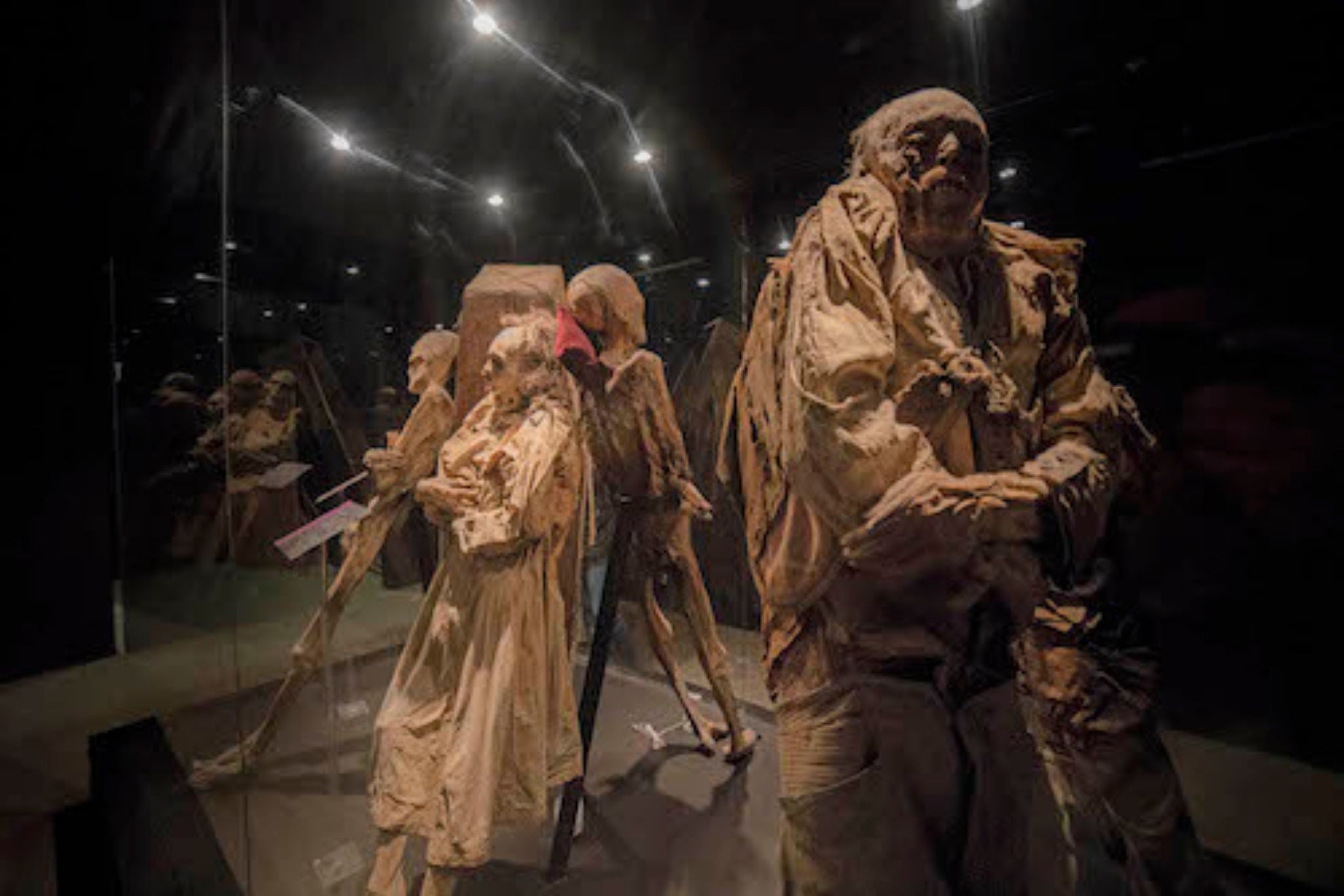 museo de las momias